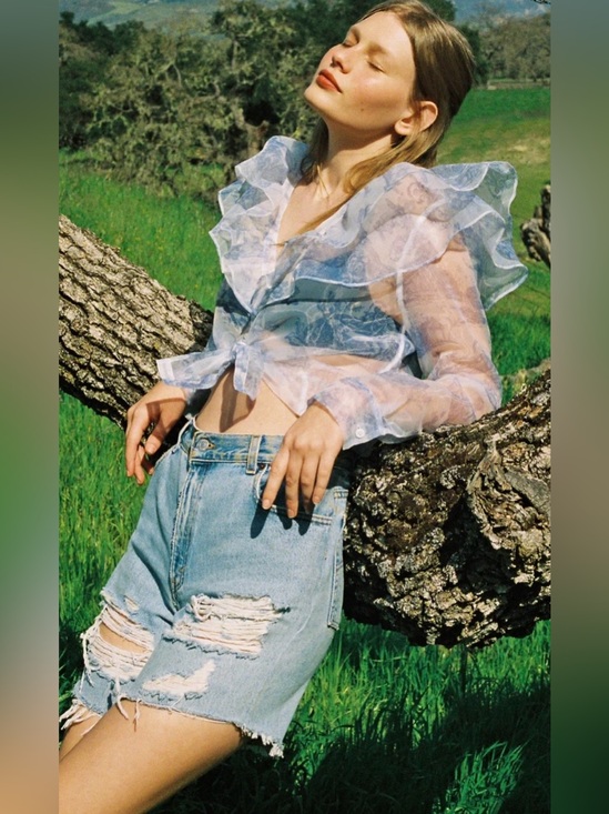Laura Ashley Tops - Laura Ashley & Urban Outfitters Sheer Blouse with Blue Toile Print